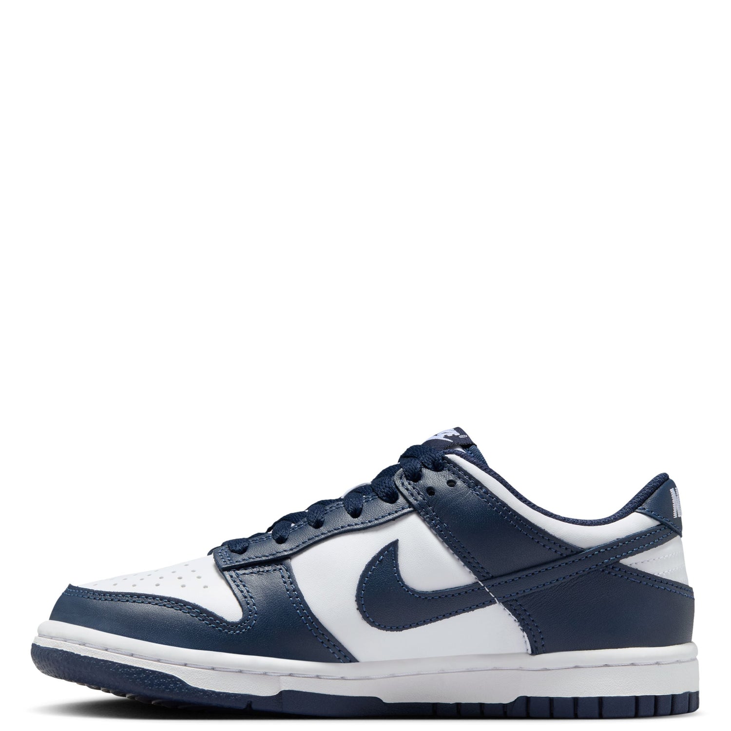 Dunk Low (Big Kid)