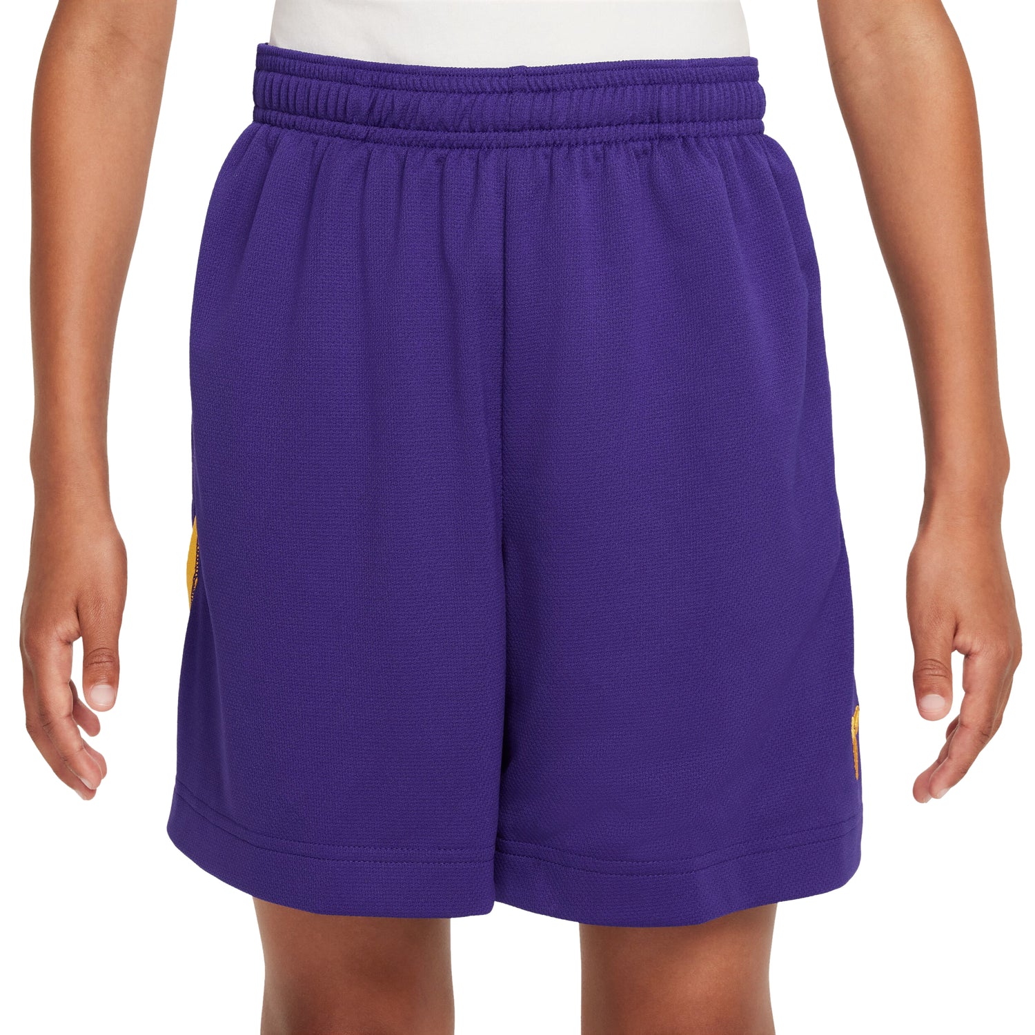 Kobe Dri-Fit Shorts (Big Kid)