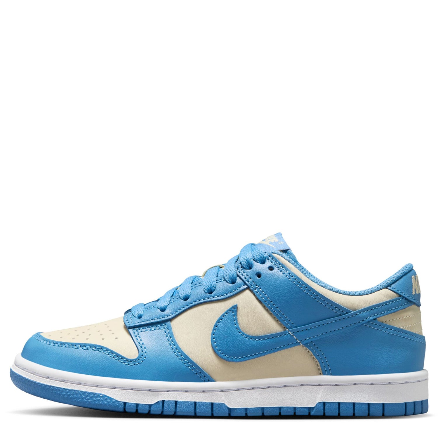 Dunk Low (Big Kid)