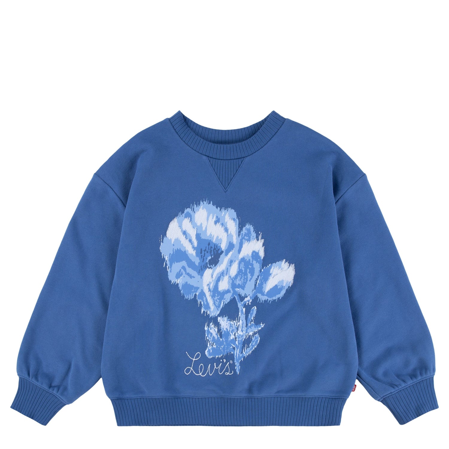 Coastal Collegiate Crewneck Sweatshirt (Big Kid)