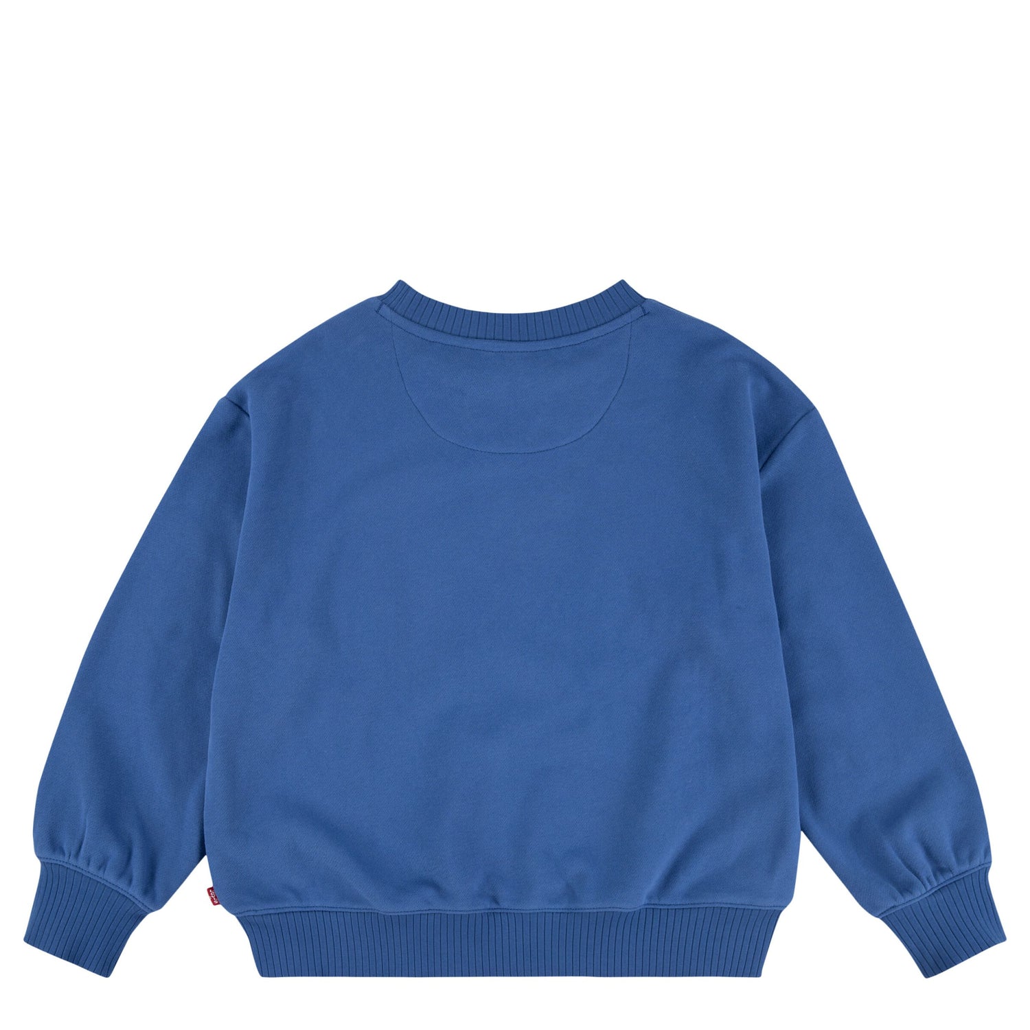 Coastal Collegiate Crewneck Sweatshirt (Big Kid)