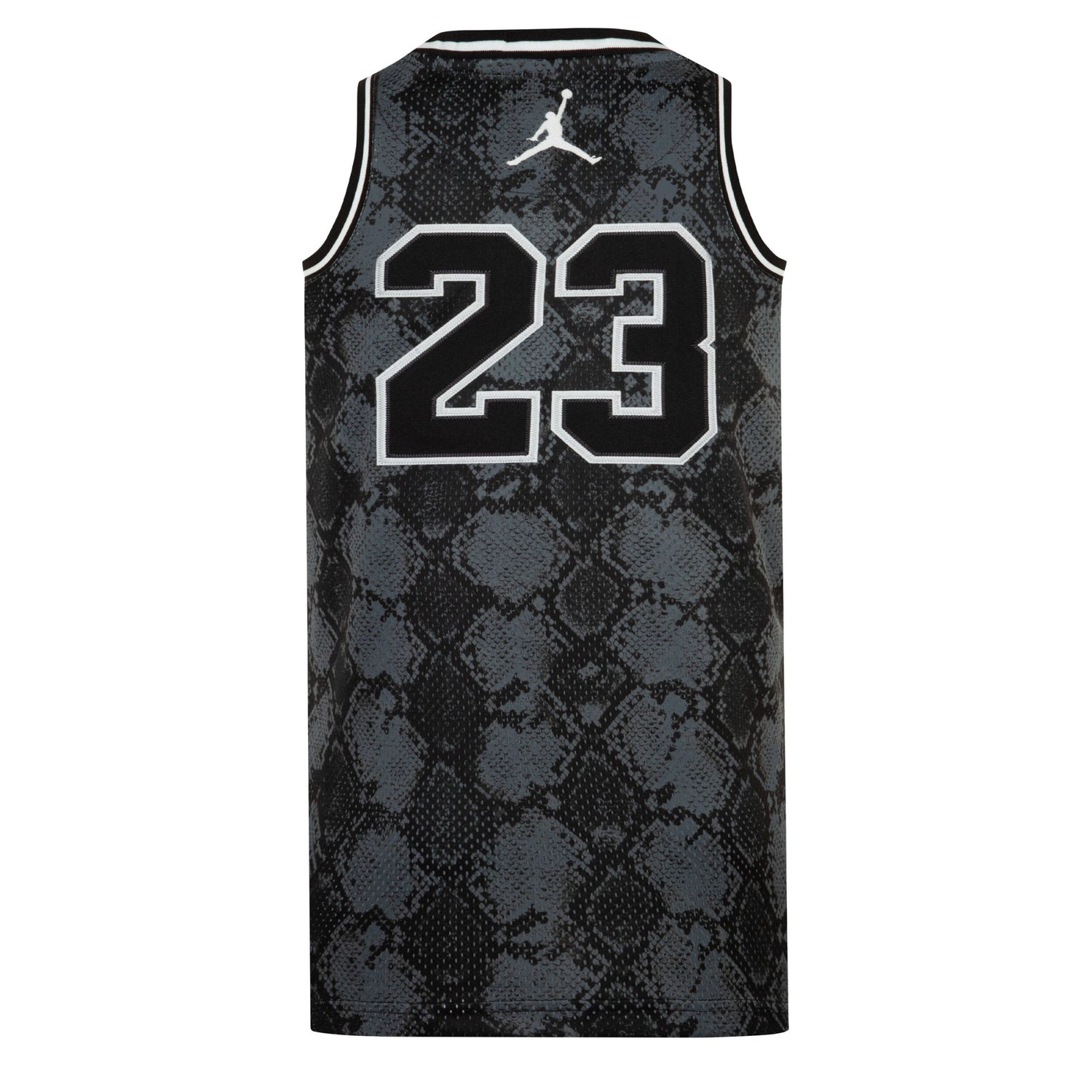 23 Printed Jersey (Big Kid)